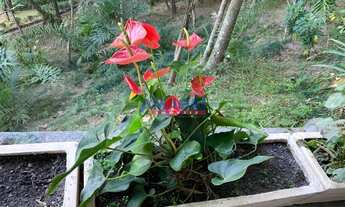 Imagem 3: Chácara em São José dos Campos