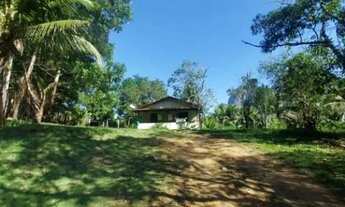 Imagem: Atlântica Imóveis tem excelente sítio