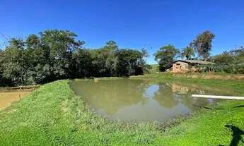 Imagem 9: Chácara com 2 dormitórios à venda, 12000 m² por R$ 1.600.000,00 - Rural - Cascavel/PR