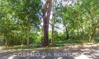 Imagem 6: Terreno Padrao - Morumbi/Sao Paulo