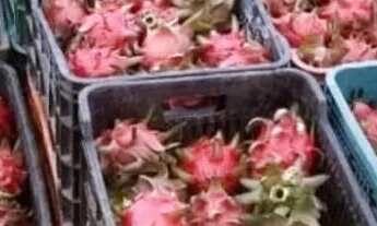 Imagem: Fazenda na pista Rodovia BR174, entre Km