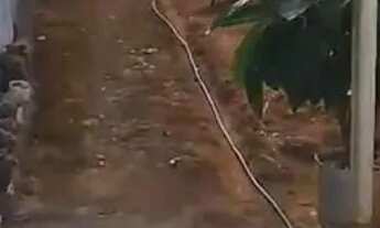 Imagem 3: Casa Em Ribeirópolis