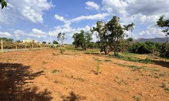 Imagem 4: Chácaras 1.000m² - Frente para o Asfalto