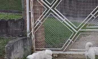 Imagem 2: Chácara em Vargem - Rio Acima - Vargem/SP