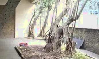 Imagem 5: Casa à venda com 404,00m² e 5 quartos em Santa Teresa, Rio de Janeiro - rj