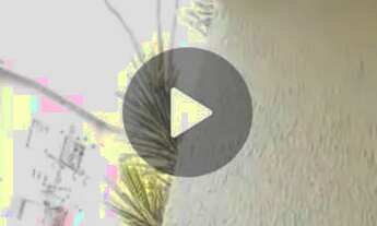 Imagem 3: DUPLEX 3 QTOS - SANTA MARIA-DF