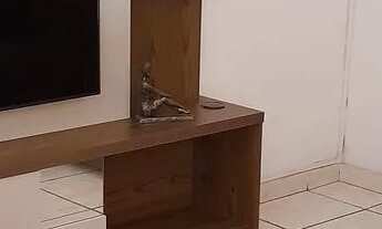 Imagem 7: Casa bairro Vila Paris(Água Branca