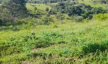 Imagem: Fazenda 55 Alqueires BR 414 Cocalzinho de