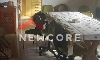 Imagem 3: Chácara em Santa Lúcia - Centro - Santa Lúcia/PR