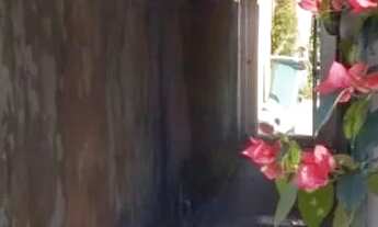 Imagem 7: Casa em Vargem Grande