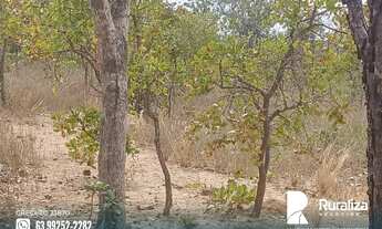 Imagem 3: Três Marias - MG com 50% de aproveitamento agrícola