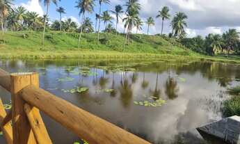 Imagem 4: Lote com um otimo preço - Sunset Beach - rainha dos lotes