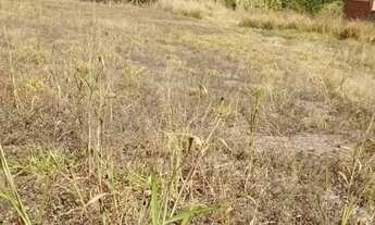 Imagem 6: Vendo Chácara de Recreio - Itapira S.P