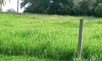 Imagem 2: Vende se chácara no são João 1