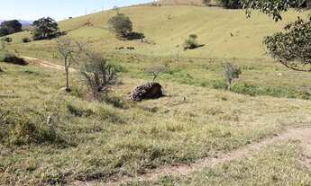 Imagem: Terreno 56.000 m2 em Consolação-MG