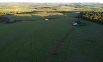 Imagem 3: Fazenda em coronel domingos pr