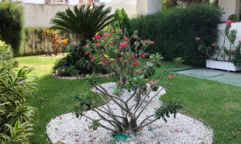 Imagem 5: Varjota 2vagas algum lazer 120m2 liga 9 8 7 4 8 3 1 0 8 Diego9989f