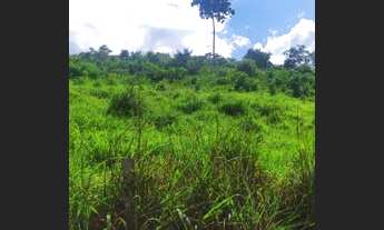 Imagem 5: Fazenda em Aparecida do Rio Negro. 67 mil o alqueire