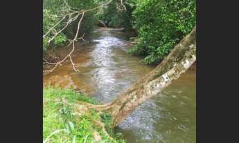 Imagem 4: Fazenda em Aparecida do Rio Negro. 67 mil o alqueire