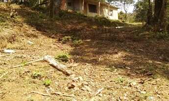 Imagem 2: Passo terreno com café