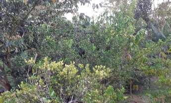 Imagem 2: VENDO TERREINO Terreno / lote com venda por R$35.000