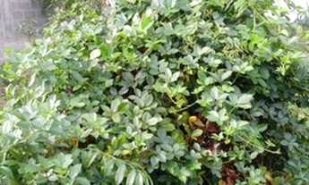 Imagem 7: Venha conhecer e adquira este confortável imóvel!!