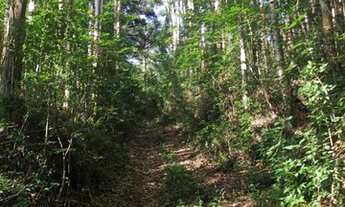 Imagem 4: Sítio / Chácara para Venda em Gramado, Serra Grande