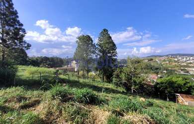 Imagem 6: Terreno com excelente vista