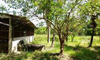 Imagem 4: Excelente sitio caminho Maricá 22.000 m2 montado