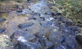 Imagem 2: Sítio / Chácara para Venda em São Francisco de Paula, Boa Vista, 3 dormitórios, 2 banheiro