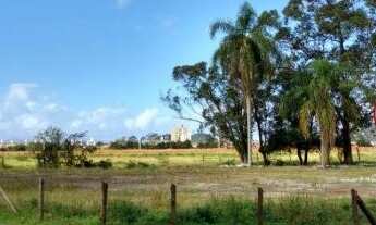 Imagem 2: BIGUAçU - Terreno Padrão - Centro