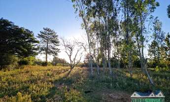 Imagem 6: Sítio 4 hectares com açude em Águas claras, oportunidade!