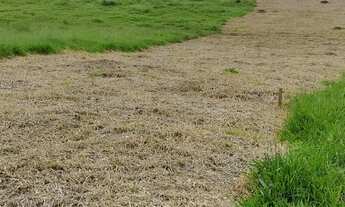 Imagem 5: Lote/Terreno para venda possui 500 metros quadrados em Parque São George - Cotia - SP