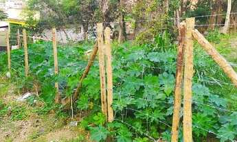 Imagem 2: Vendo Terreno na Bela Vista