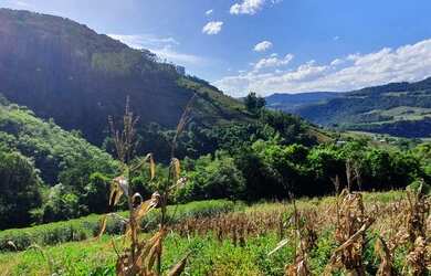Imagem 2: Área de terra com 14,8 hectares, com casa ampla, sendo 1,59 hectares de videiras