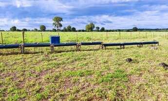 Imagem: Fazenda Dupla aptidão Município Araguapaz