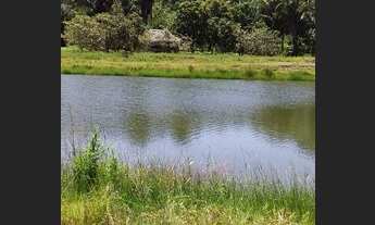 Imagem 4: Propriedade em Nina Rodrigues-MA 50 hectares