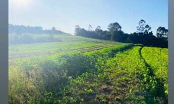 Imagem 5: Terrenos Planos e Limpos Para Sua Casa de Campo em Ibiúna - SP