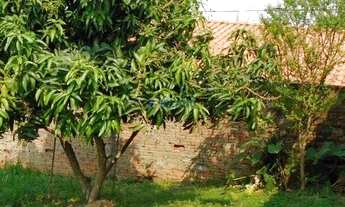 Imagem 3: Sobrado 4 dorm./2 suítes - Jd. Brasil