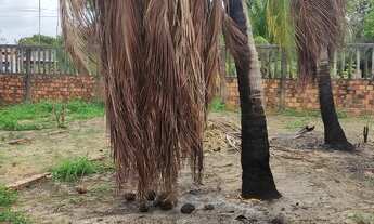 Imagem 6: Salinas , vendo um terreno 20 X 18 todo documentado