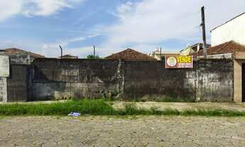 Imagem 3: Lote/Terreno para venda possui 300 metros quadrados com 1 quarto