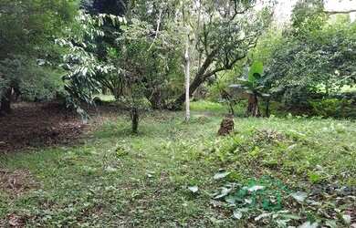 Imagem 5: SãO JOSé DOS CAMPOS - Chácara - Freitas