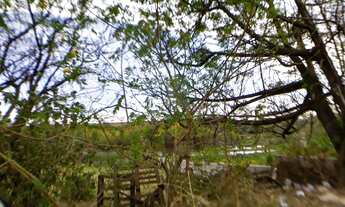 Imagem 3: área - Chácaras Campos dos Amarais - Campinas