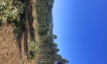 Imagem 5: R5-Imóvel para venda com 1000 metros quadrados em - Salesópolis - São Paulo