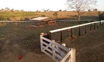 Imagem 2: Sítio 150 alqueires Região de Monte Negro