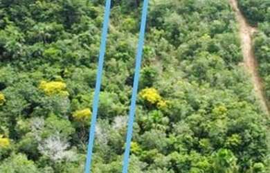 Imagem 7: TERRENO NA AGUA FRIA