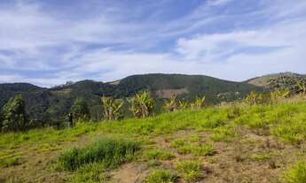 Imagem 7: Lote/Terreno para venda tem 5000 metros quadrados em Jardim Rosa de Franca - Guarulhos - S