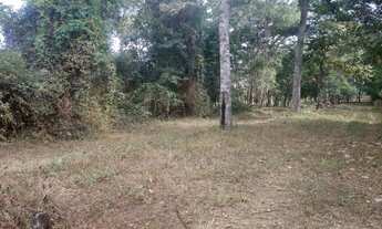 Imagem 5: Chácara em Aragoiania de 1000 metros a 25 km de Aparecida de Goiania chacaras