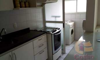 Imagem 3: SãO PAULO - Padrão - Pinheiros