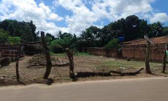 Imagem: Terreno próx estrada da maioba